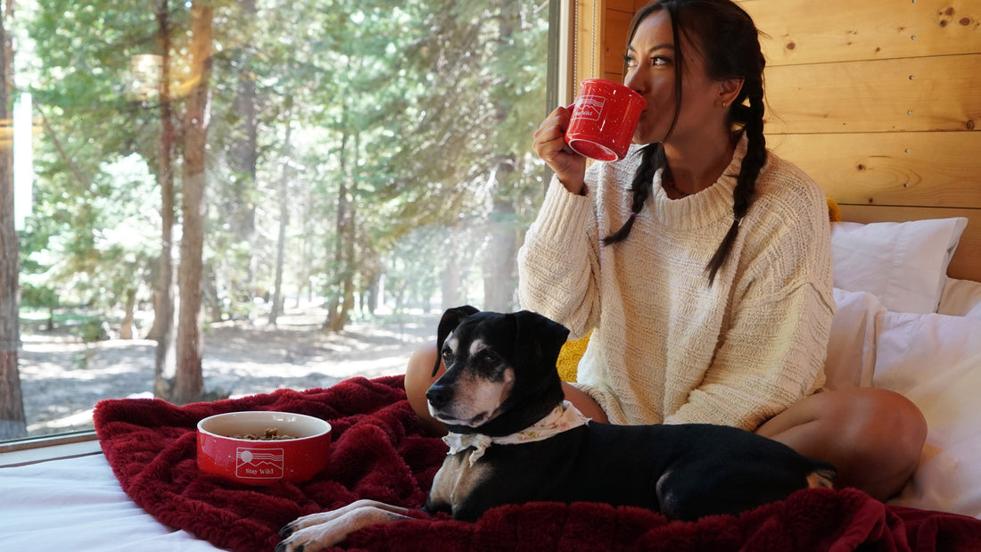 enjoying wilderness with a matching adventure dog bowl and camping mug set 